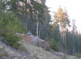Juhani metsassa1 * 800 x 580 * (82KB)